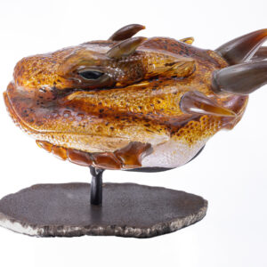 Horned Lizard by Grant Garmezy